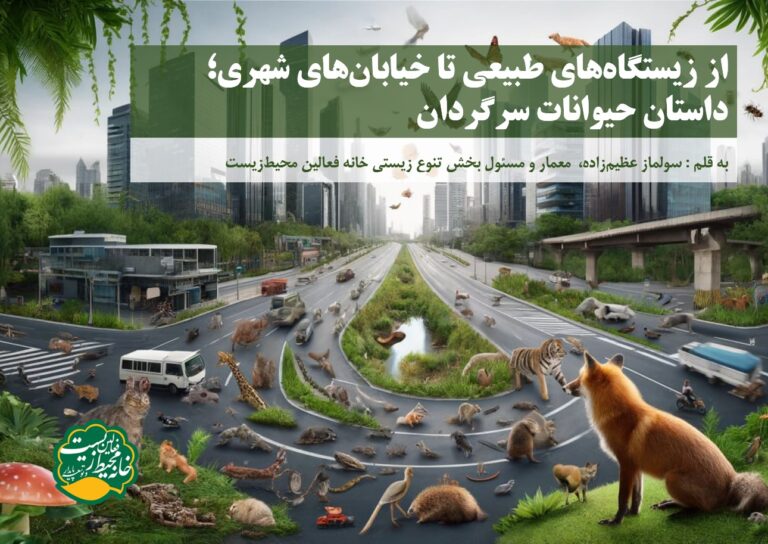 از زیستگاه‌های طبیعی تا خیابان‌های شهری؛ داستان حیوانات سرگردان